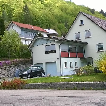 Haus Marion Apartment Todtnau Exterior photo